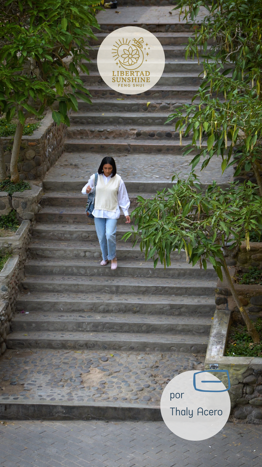 Carta pronóstico Quimen 1-1