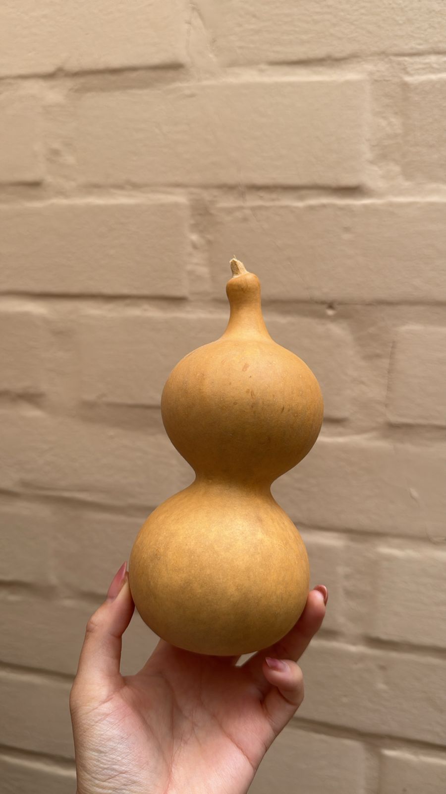 Calabazas Wu Lou Naturales