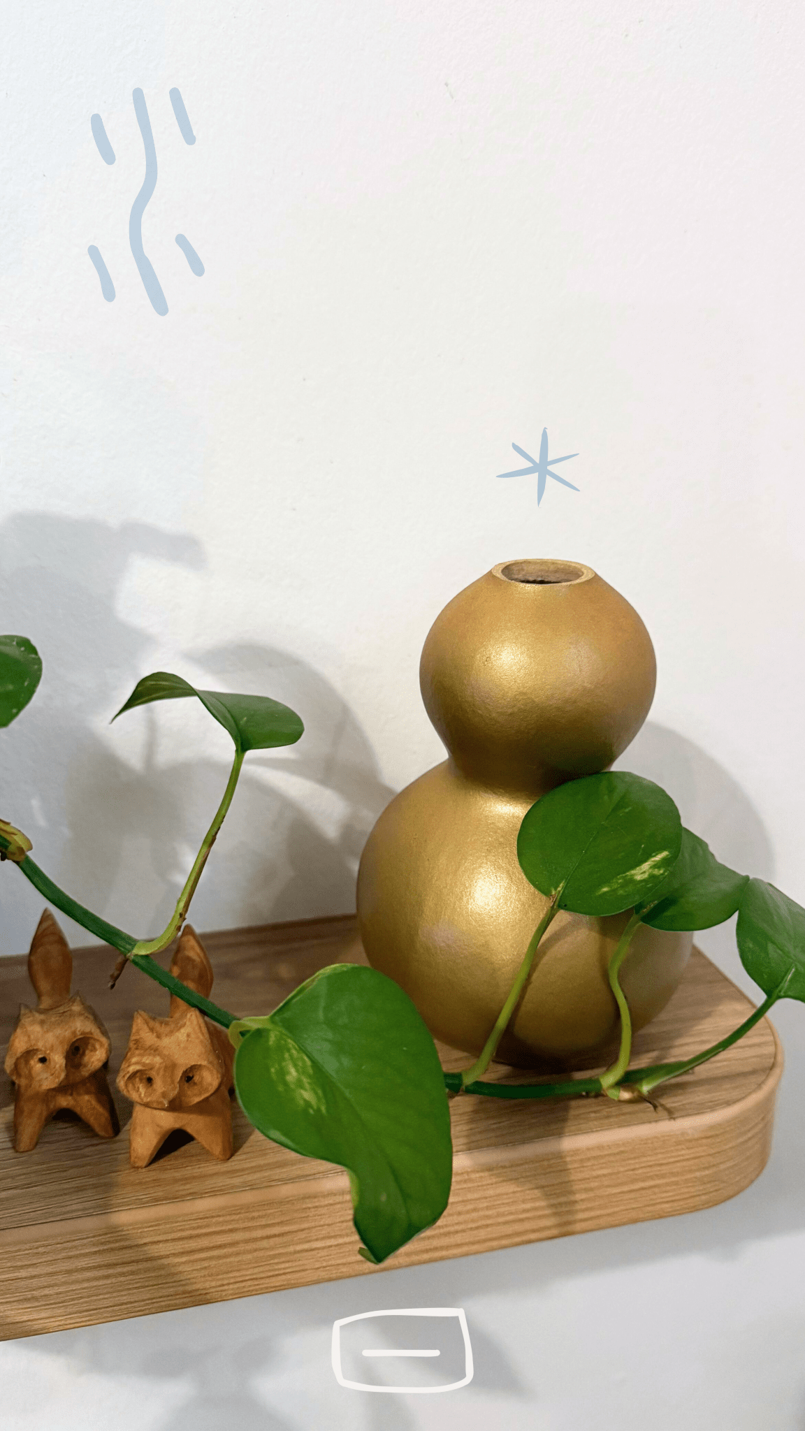 Calabazas Wu Lou Naturales - Yubia Estelar