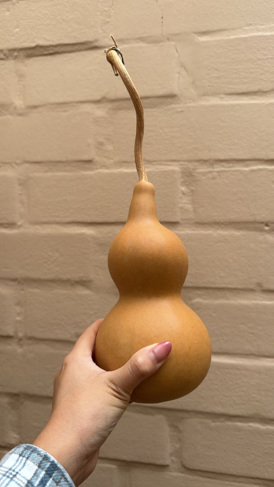 Calabazas Wu Lou Naturales - Yubia Estelar